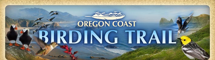 Oregon Coast Birding Trail
